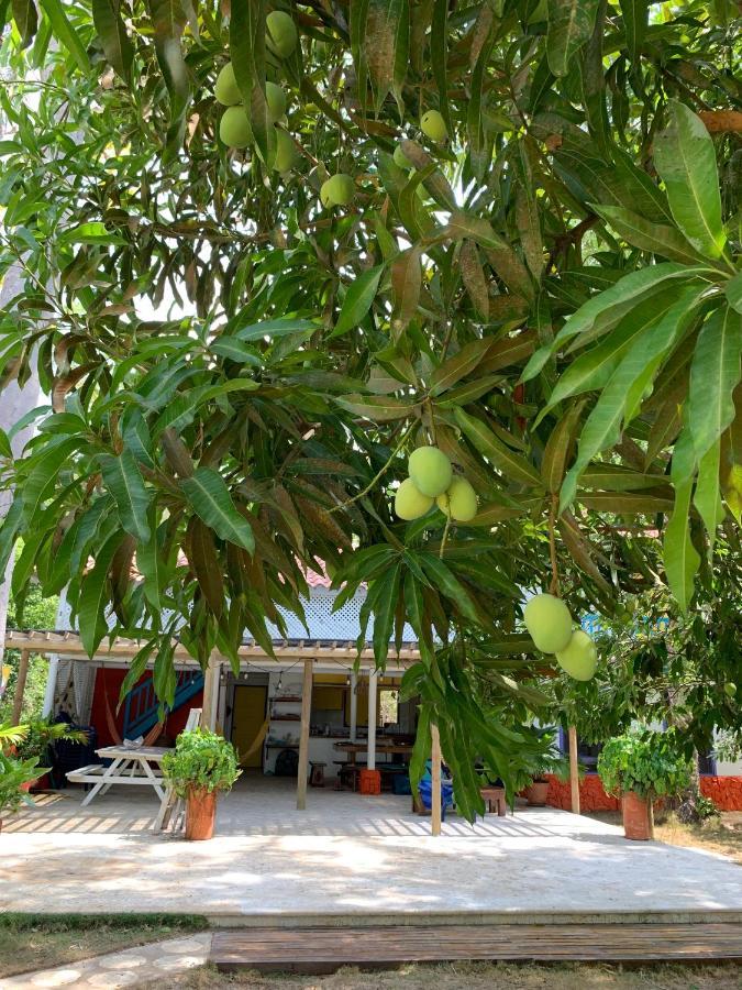 Casita Caribe En Reserva Natural, Playa Privada, Kayaks, Wifi, Aire Acondicionado San Onofre Exterior photo